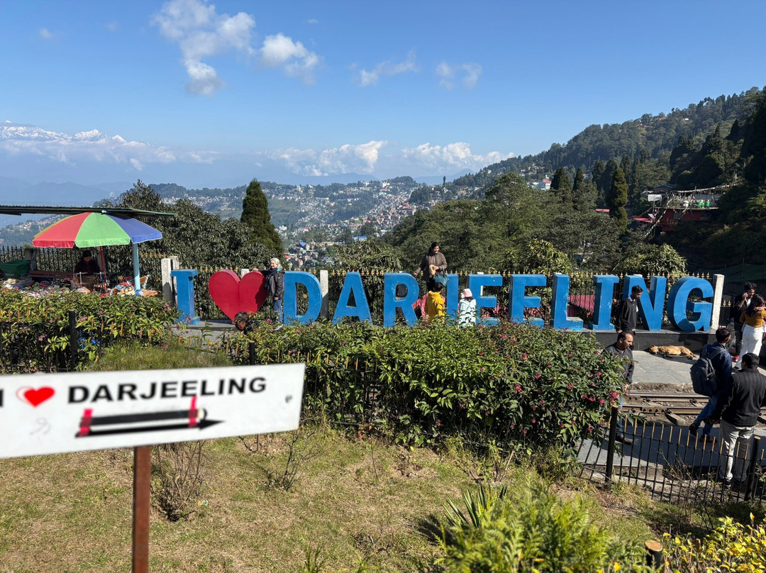 BOUT INDIA TOURS-斋蒲尔必去景点