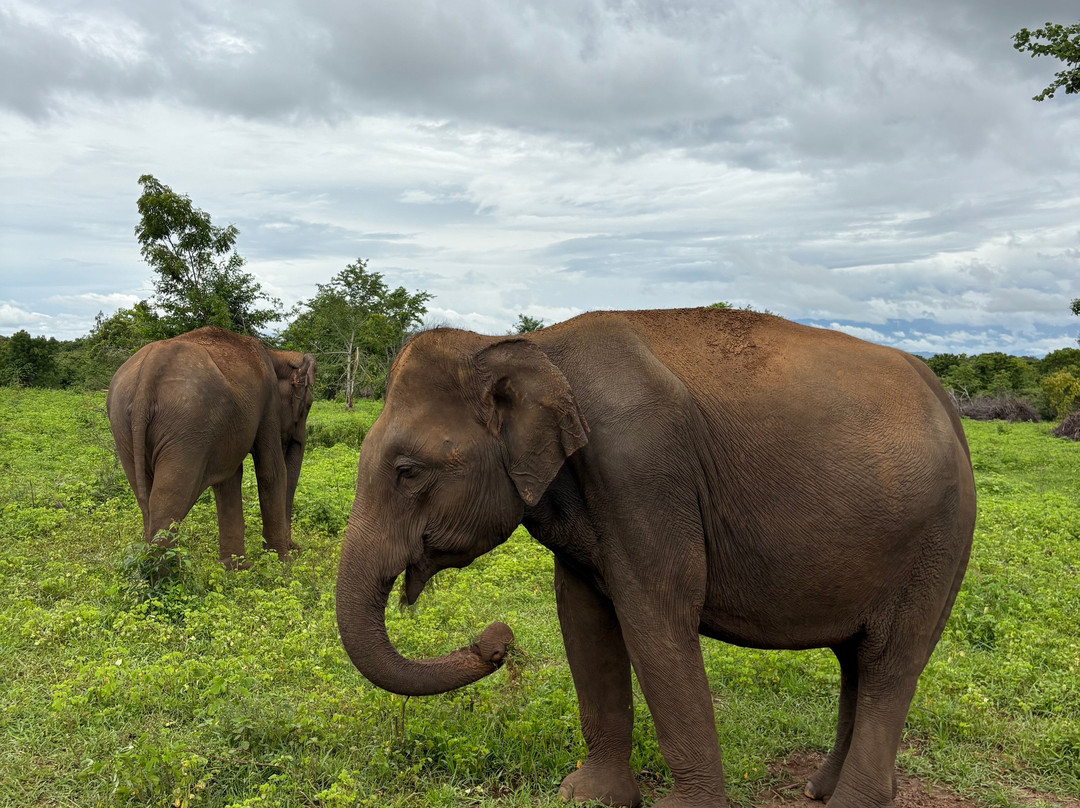 Sri Lanka Dream Tour-尼甘布必去景点