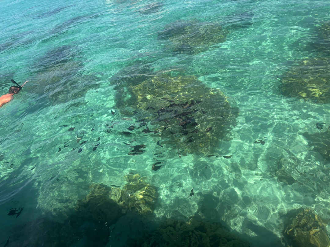 Karlos Excursions-莫纳山必去景点