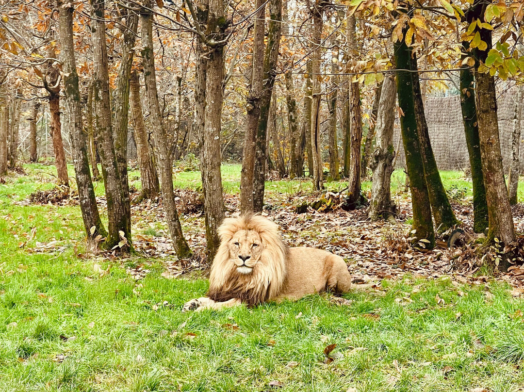 Planète Sauvage-Port-Saint-Pere必去景点