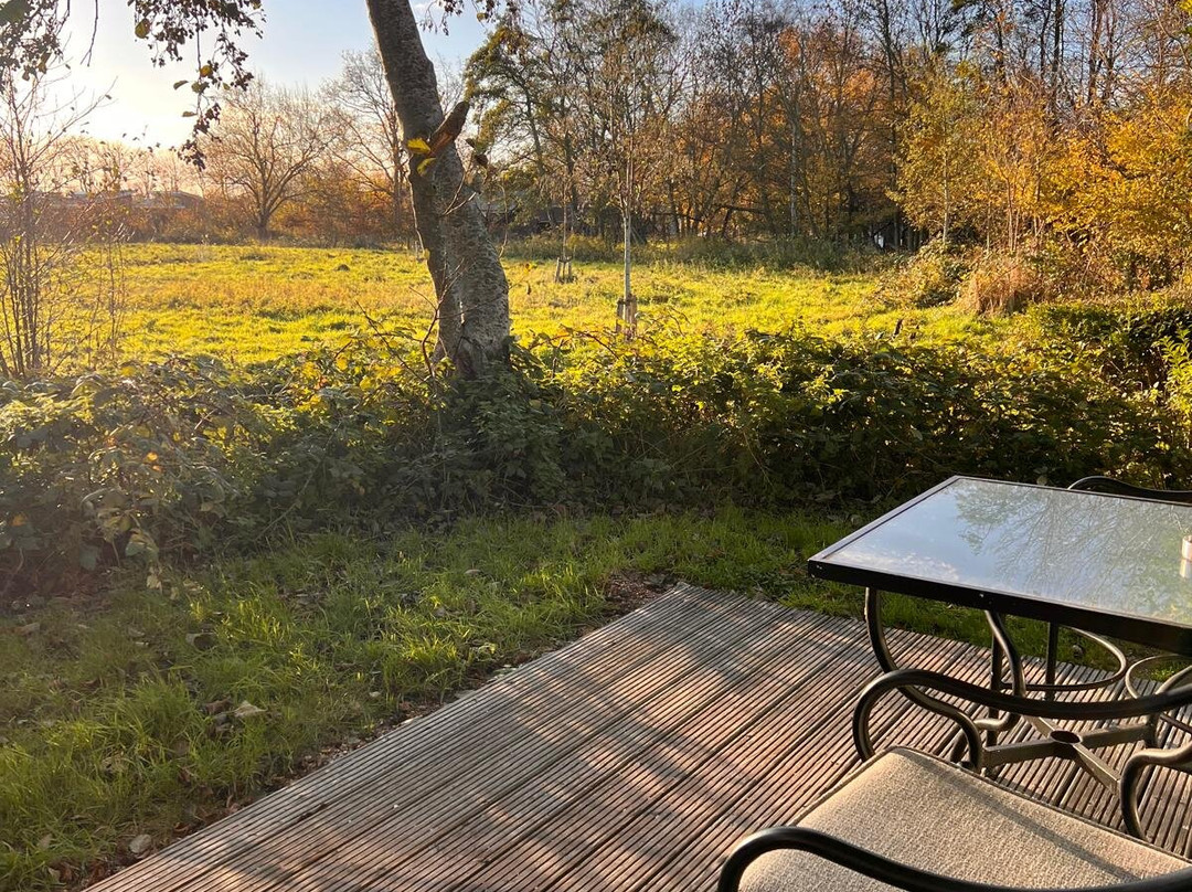 泰尔山翰悦阁酒店主图