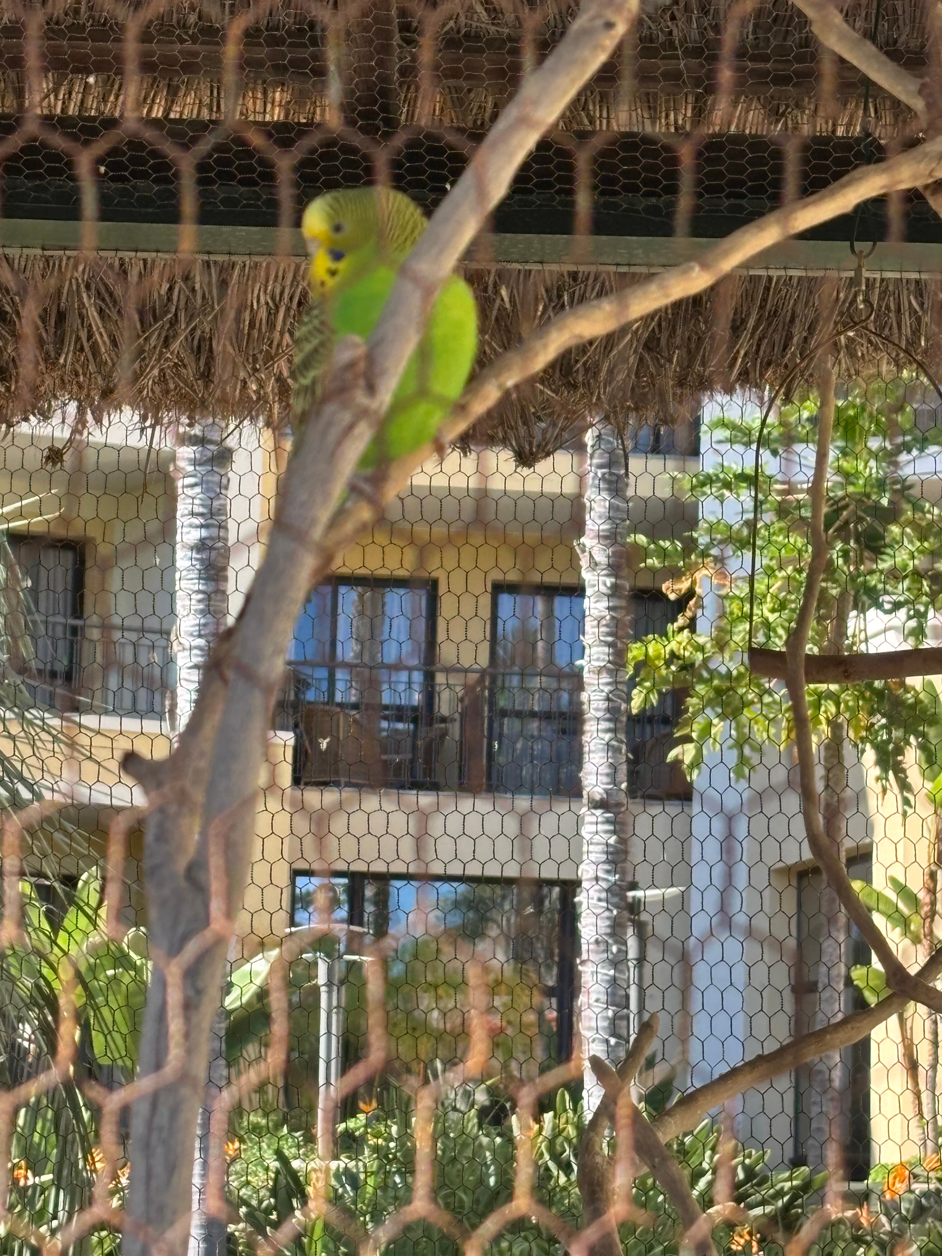 Porto Mare Hotel-官方