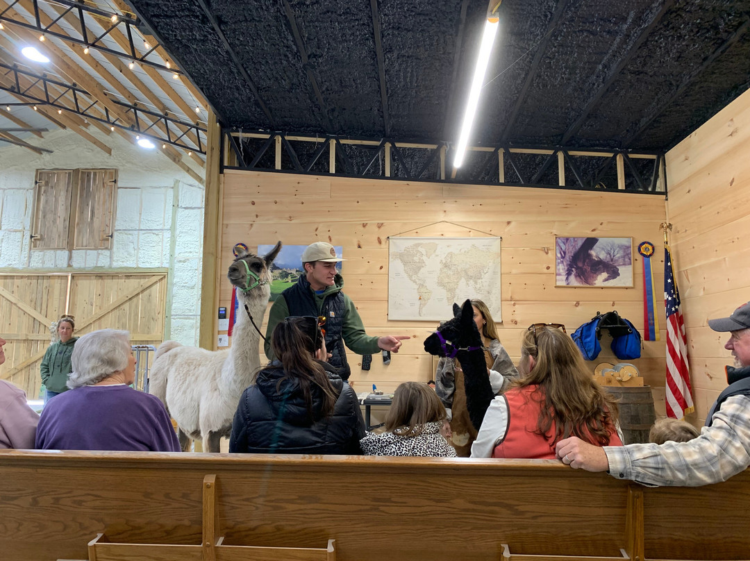 Ellaberry Llama Farm-亨德森维尔必去景点
