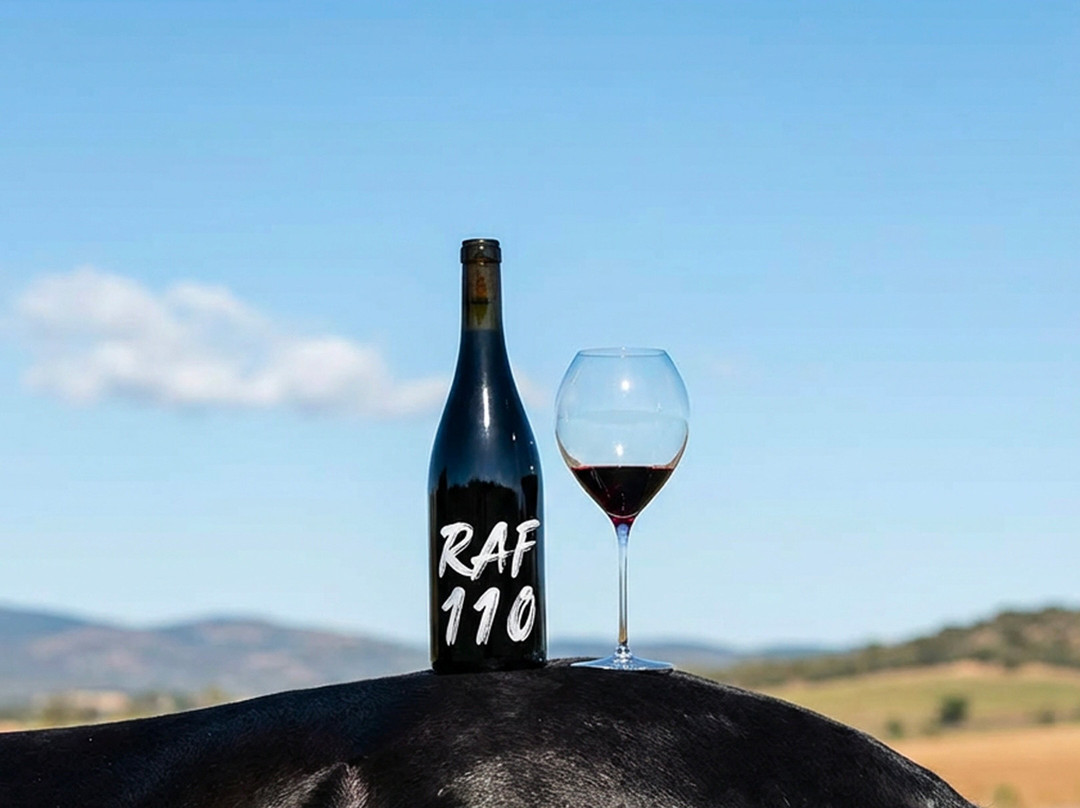 Vins Nadal-Binissalem必去景点