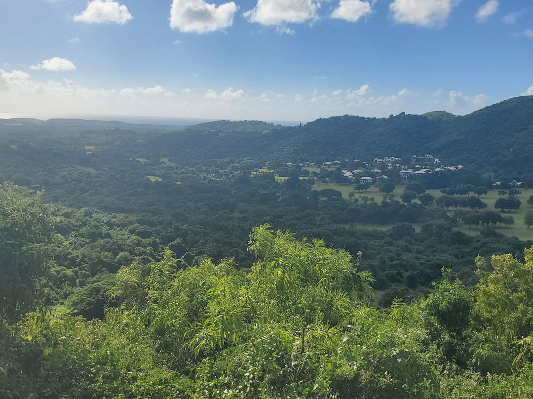 Carambola Zip Line-Frederiksted必去景点