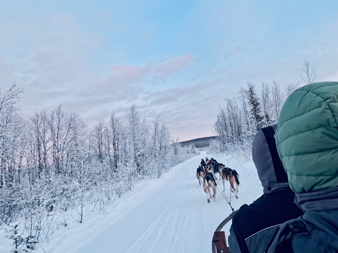 拉普兰极光之旅-阿比斯库必去景点