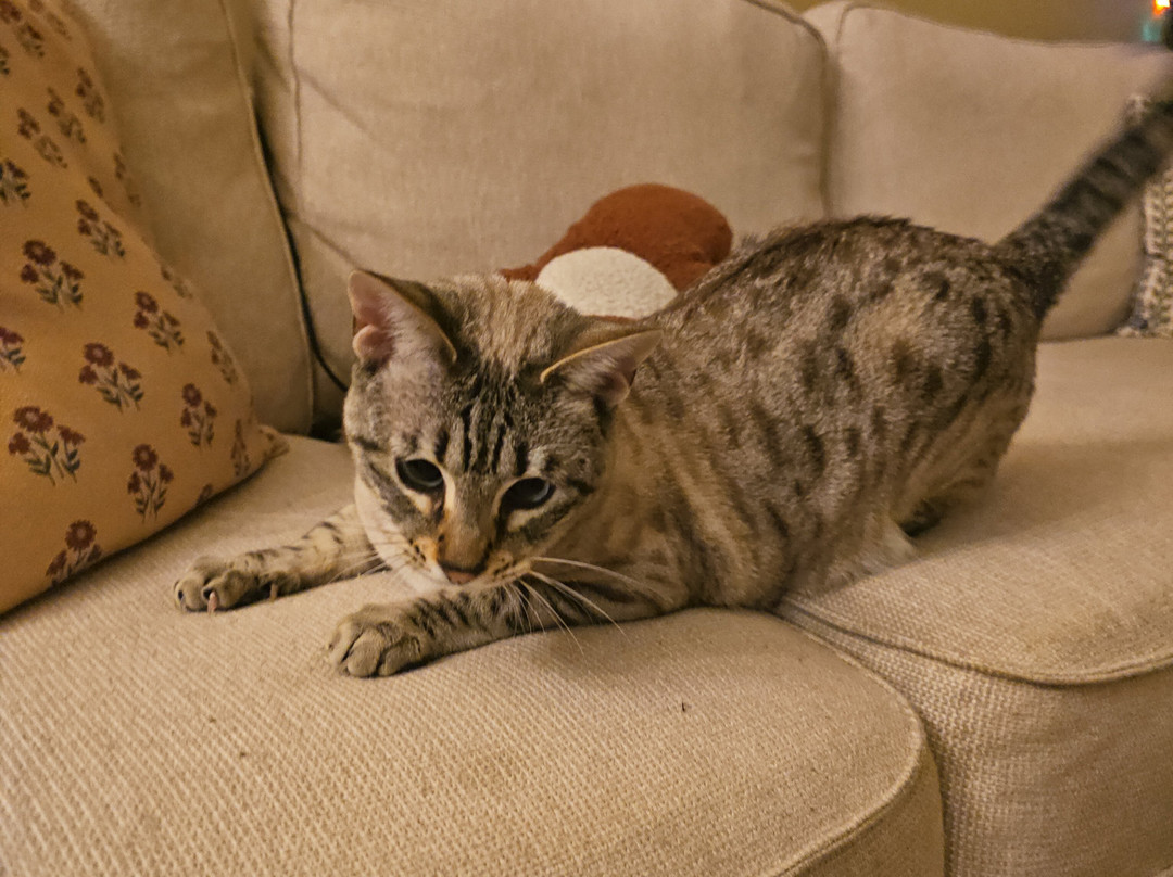 District 1881-奇利瓦克必去景点