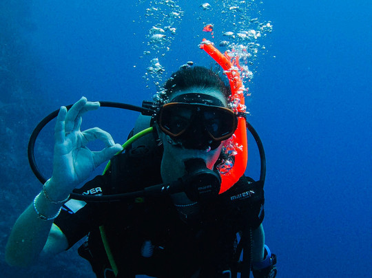 Soul Divers-威廉斯塔德必去景点