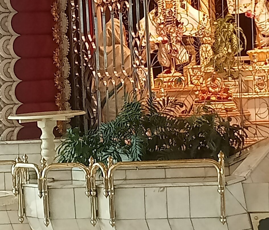 智慧庙-德班必去景点