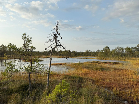 Hey Estonia-塔林必去景点
