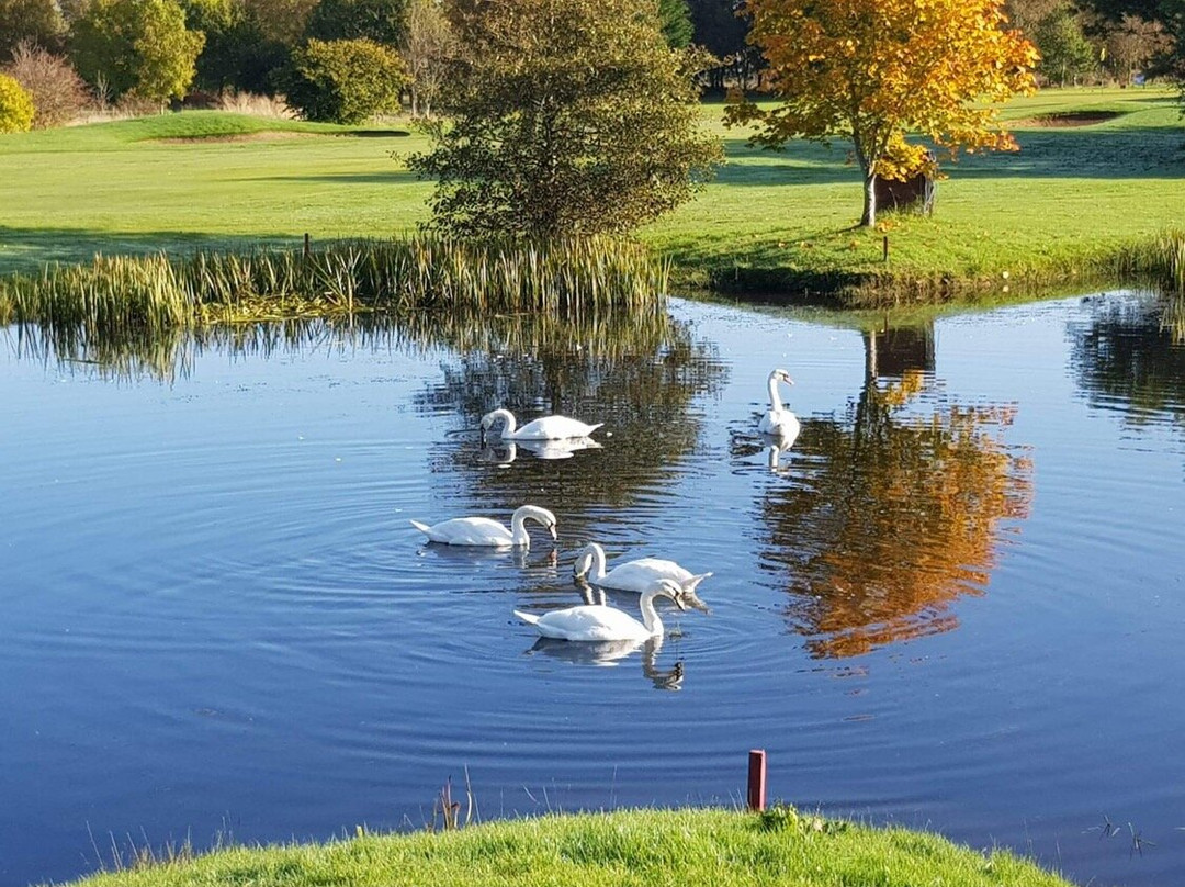 Insch Golf Club-Insch必去景点