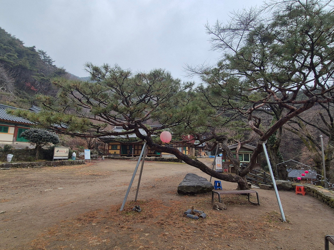 Daewonsa Temple-完州郡必去景点