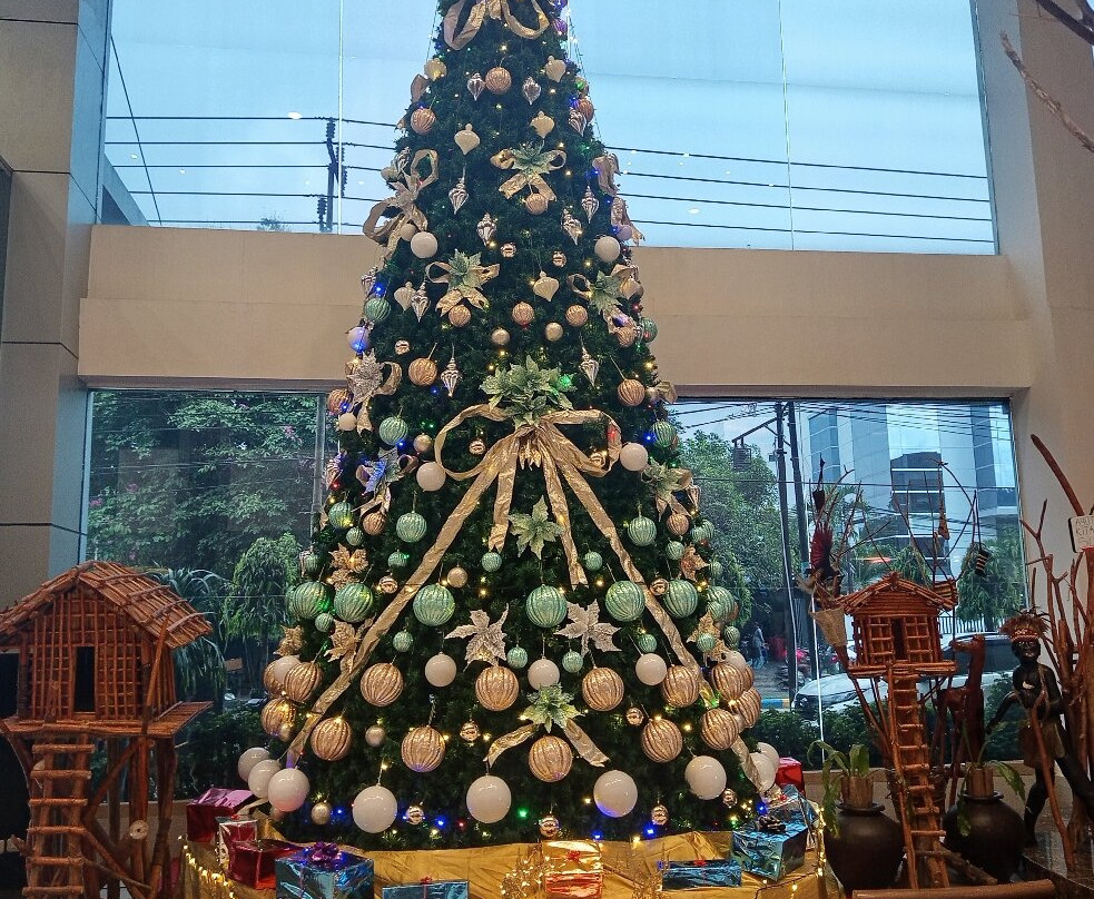 Swiss-Belhotel Manokwari主图