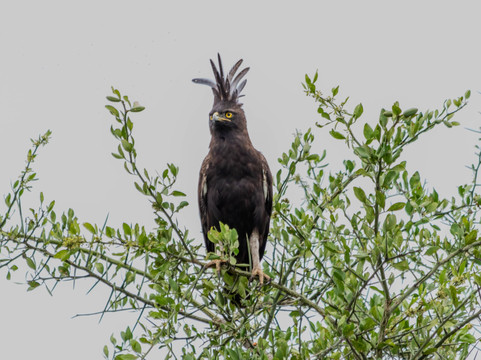 Akshar Tours And Safaris-姆万扎必去景点