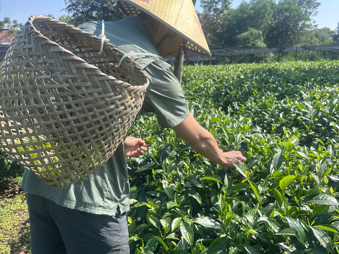 TeaTour Travel-Thai Nguyen必去景点