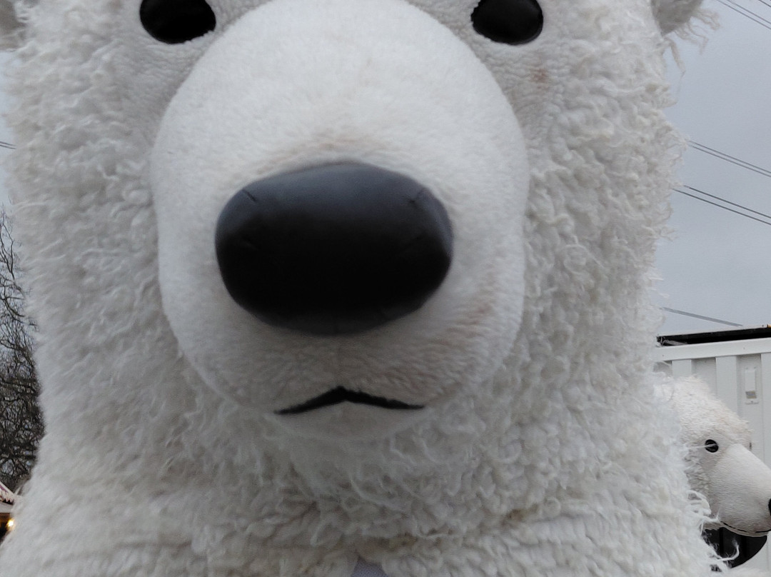 Old MacDonald's Farm-布伦特伍德必去景点