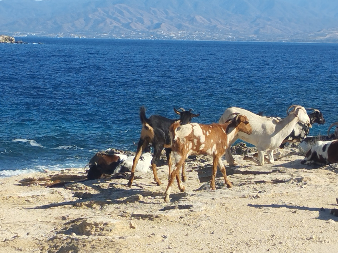 Baths of Aphrodite-Neo Chorion必去景点