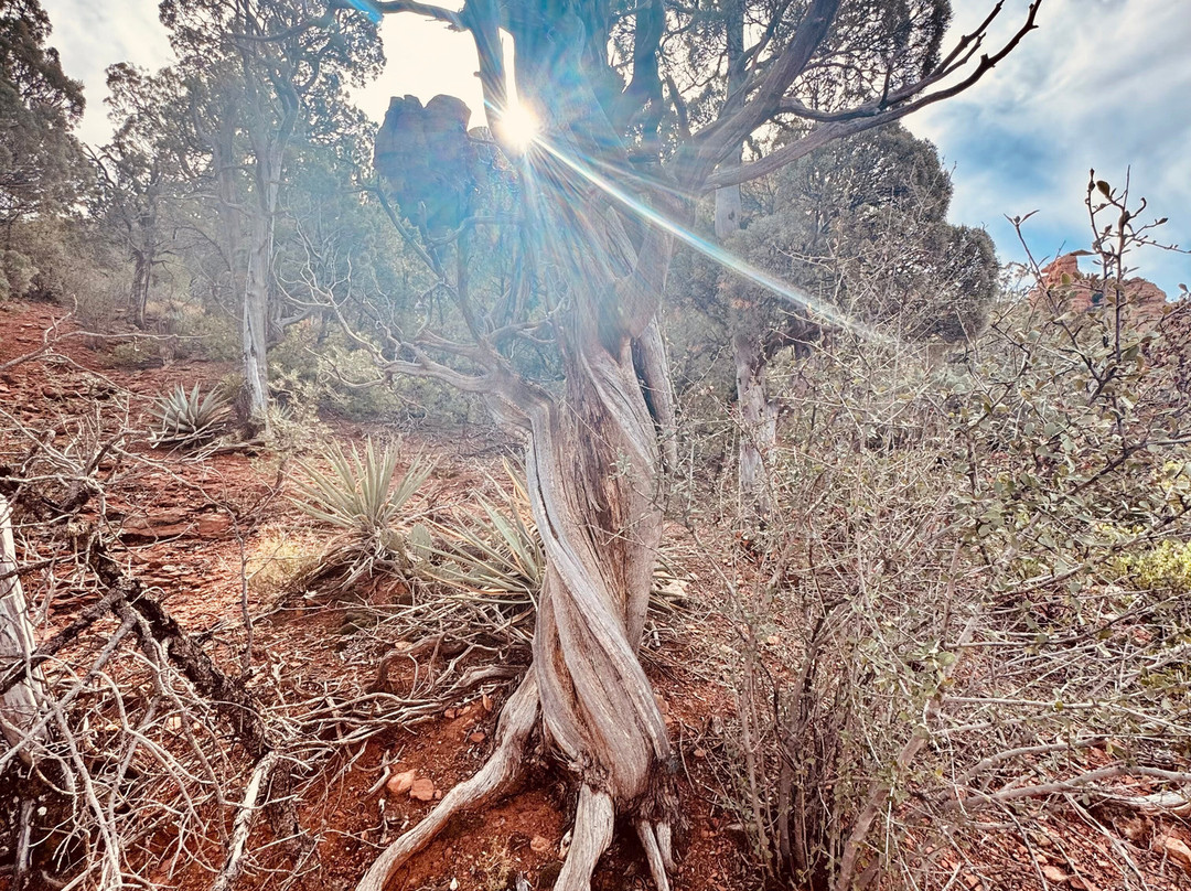 Vortex Yoga Hiking In Sedona-塞多纳必去景点
