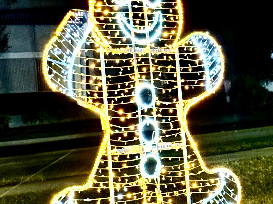 奥兰多市中心万怡酒店主图