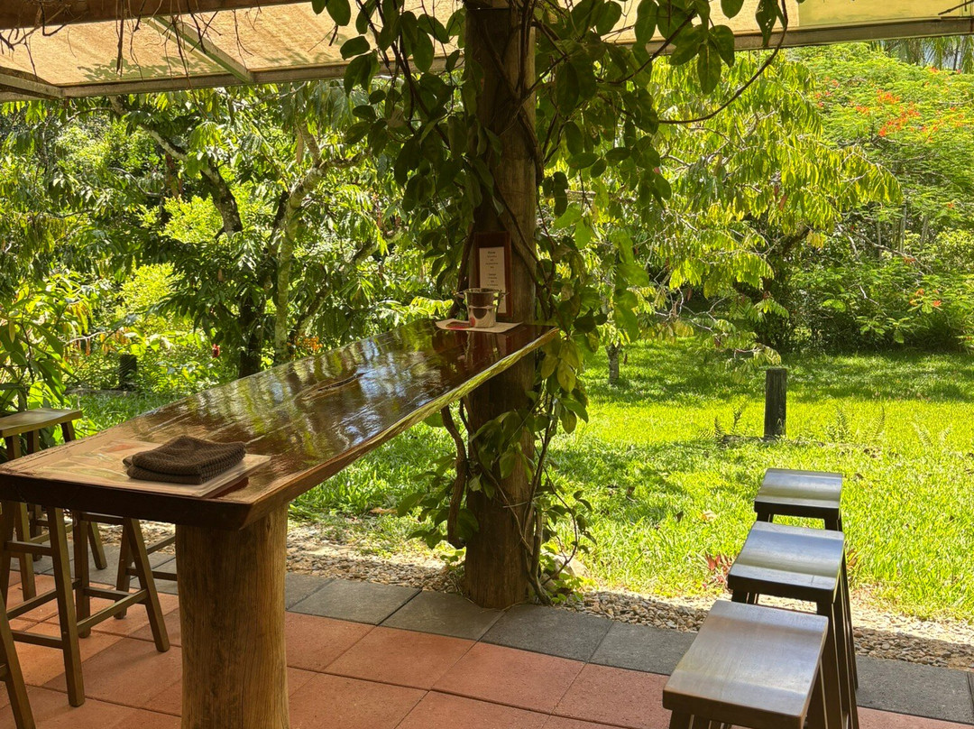 Shannonvale Tropical Fruit Winery-Mossman必去景点