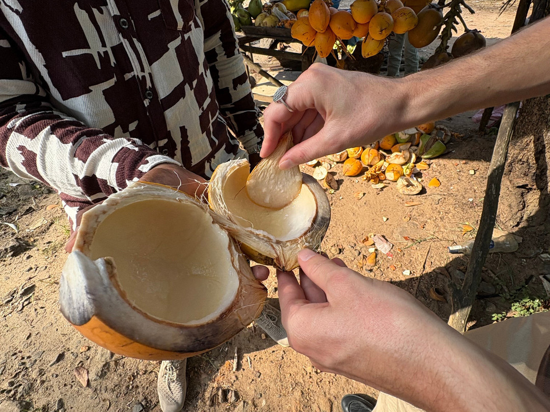 Dilshan Travelscape-Batigama必去景点