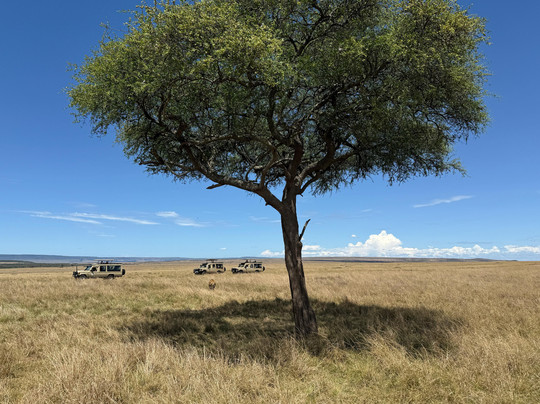 Capture Kenya Expeditions-内罗毕必去景点