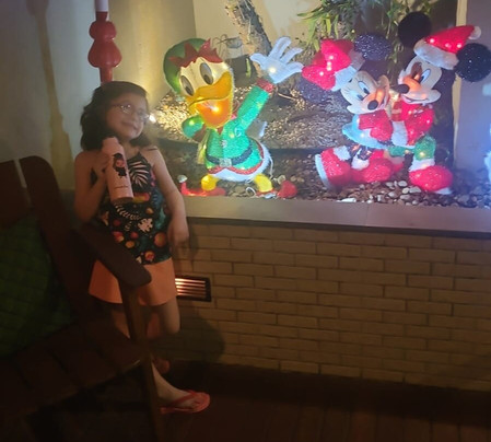 伊利亚斯卡利宾酒店主图