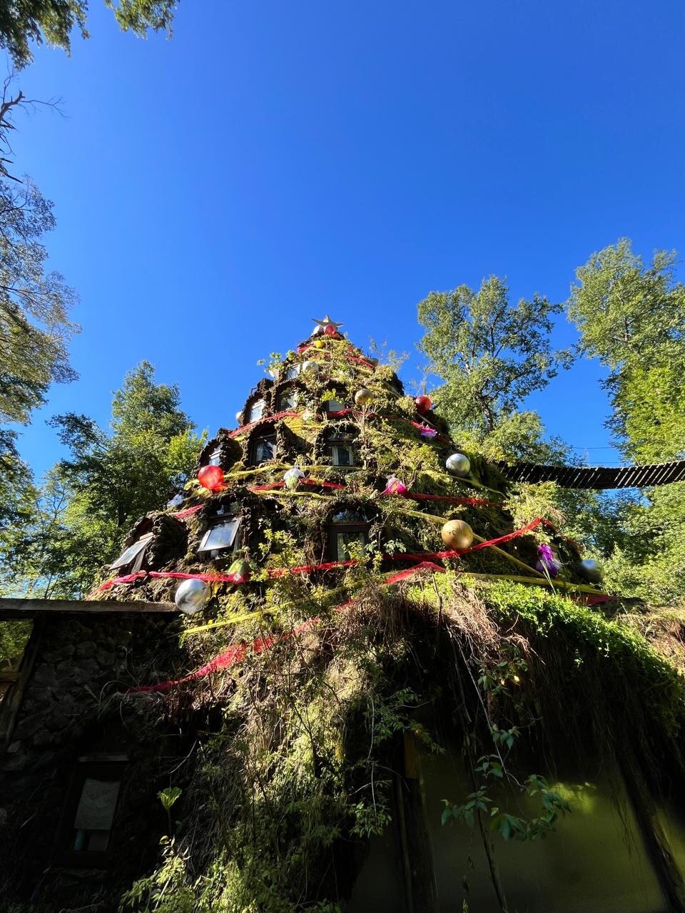 Huilo Huilo Nothofagus Hotel-官方