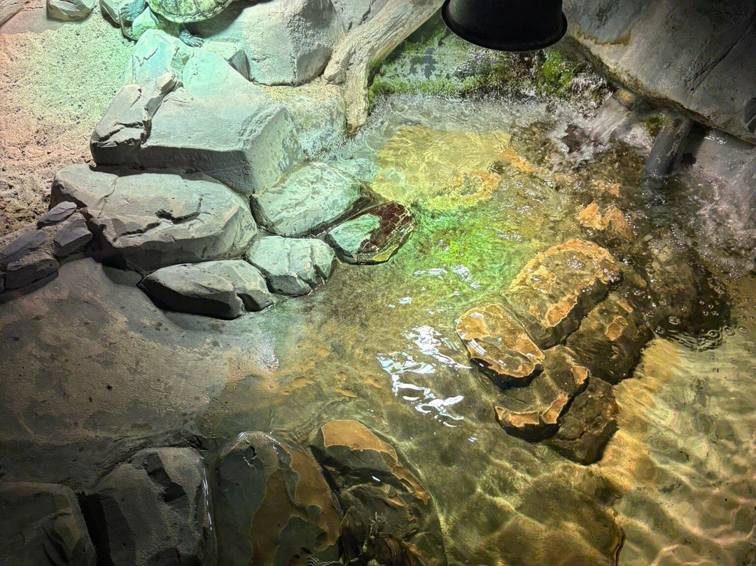 Lakes Aquarium-Newby Bridge必去景点