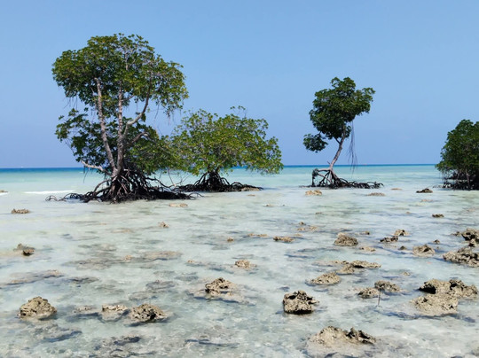 Tripbello-斯利那加必去景点