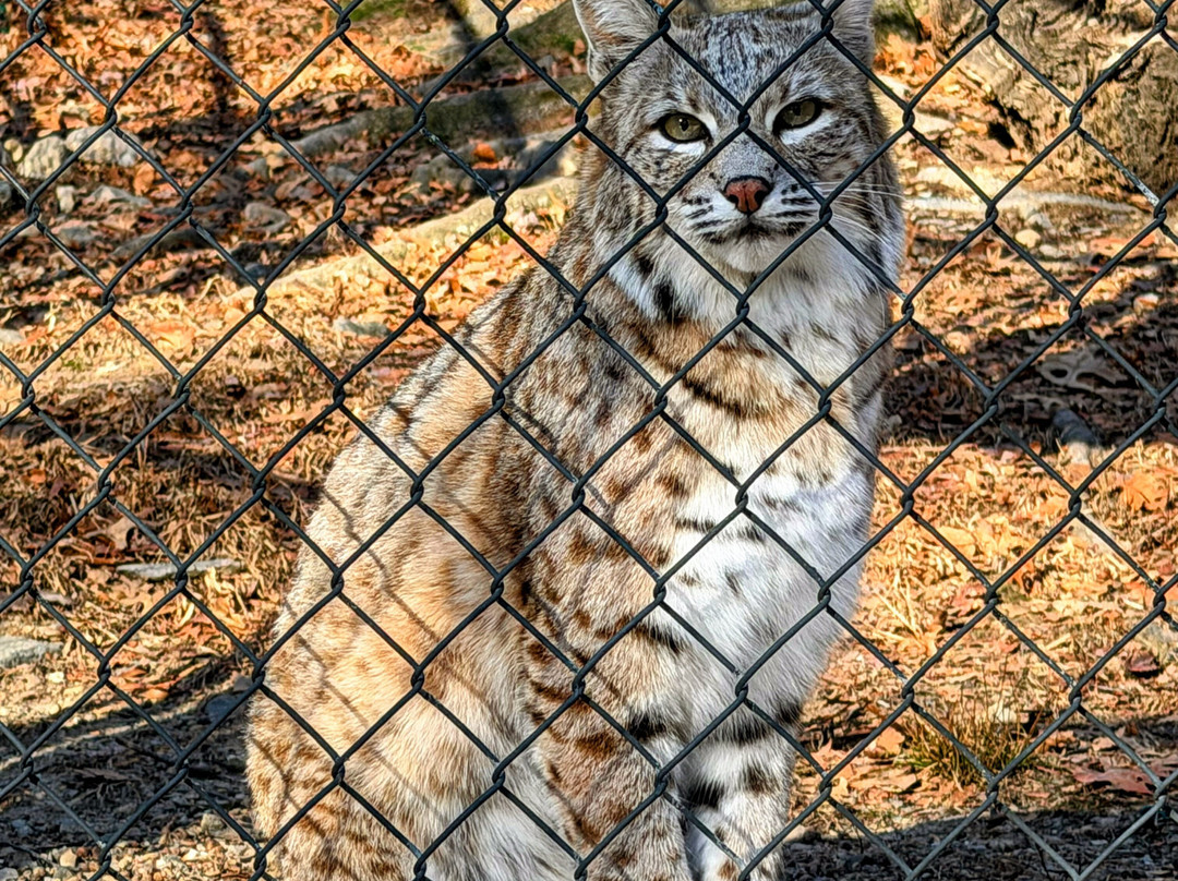 Lakota Wolf Preserve-Columbia必去景点