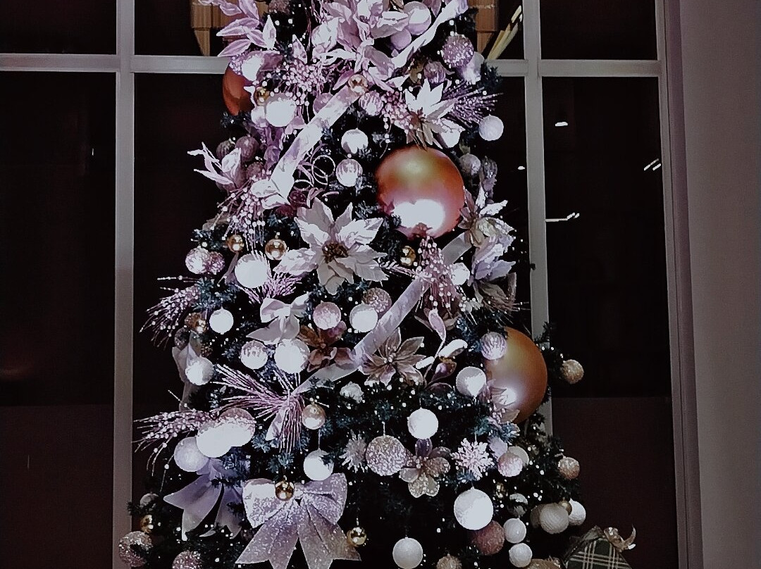 Erbil Arjaan by Rotana主图