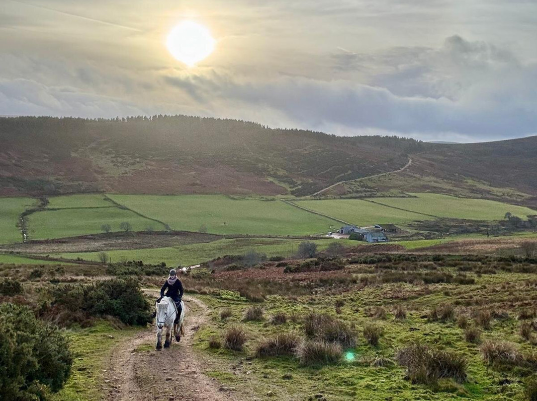 Highlands Unbridled Trail Riding & Trekking Centre-Aboyne必去景点