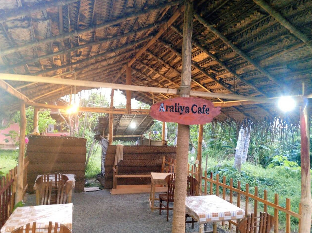 Araliya Cafe