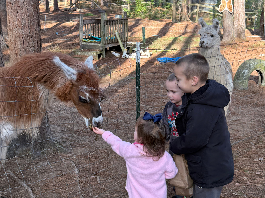 Redemptive Love Farm-Miccosukee必去景点