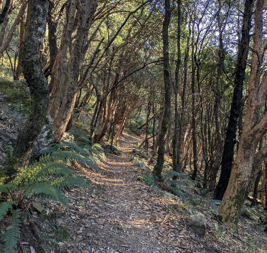 Jabarkhet Nature Reserve-马苏里必去景点