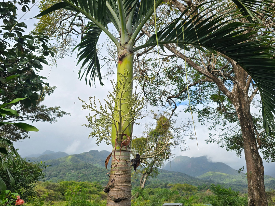 Coffee Mountain Inn主图