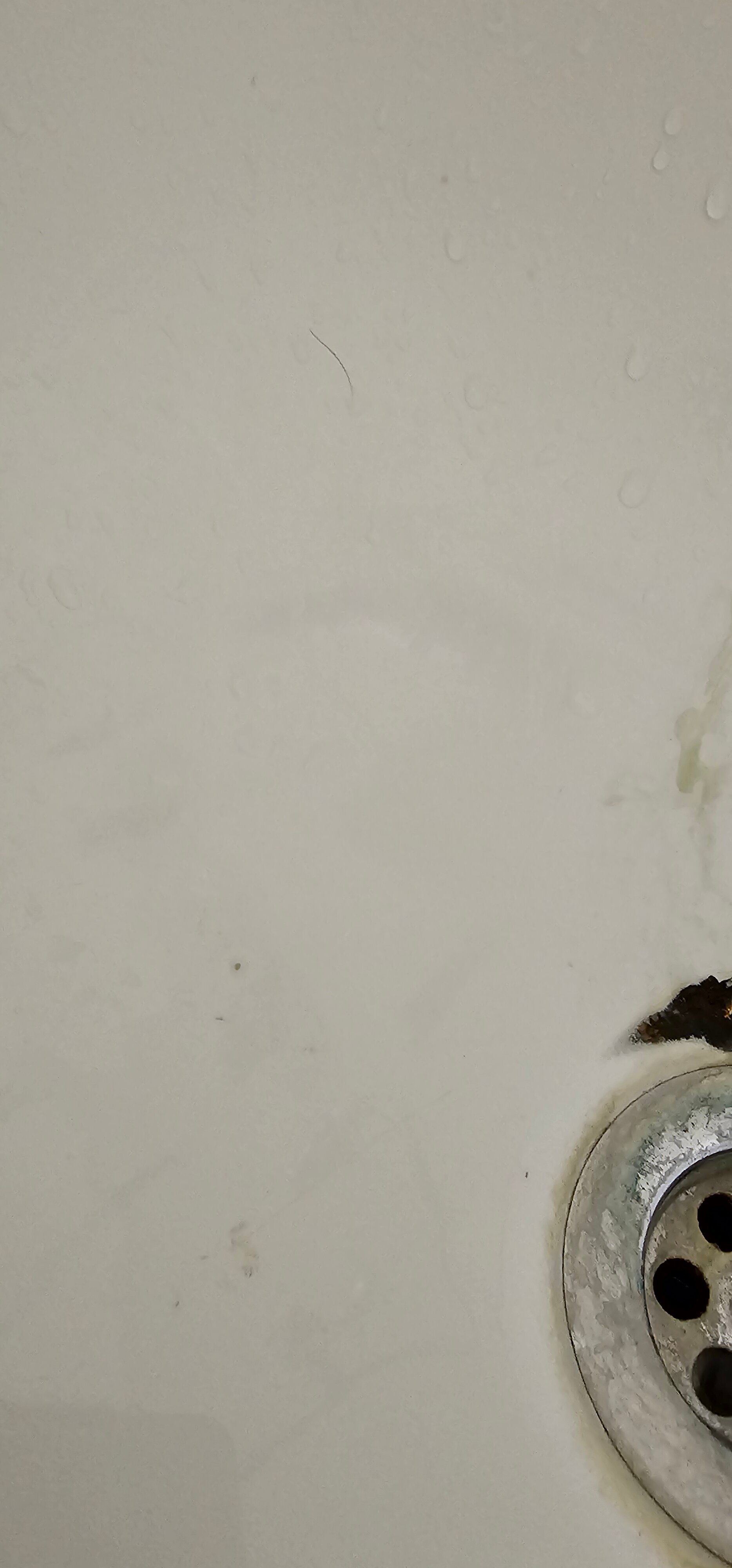 巴卡特里厅酒店-官方