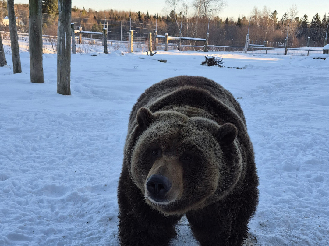 CineZoo-Sainte-Anne-de-la-Rochelle必去景点