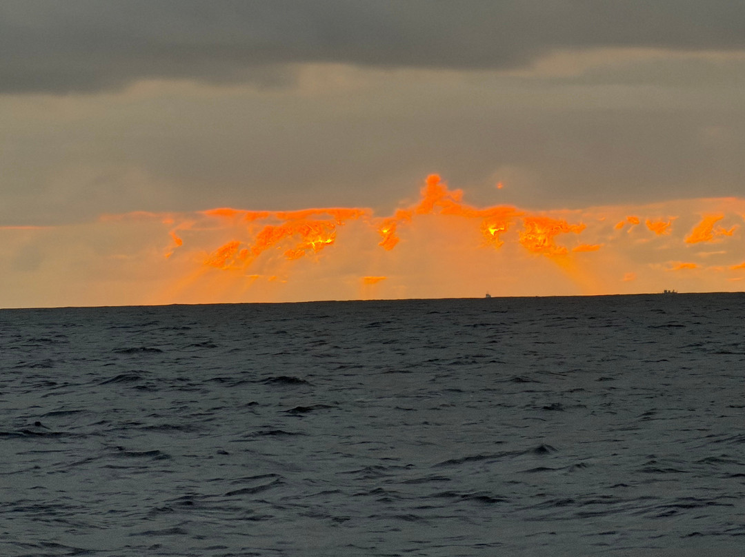 Moana Sailing Charters-火奴鲁鲁必去景点