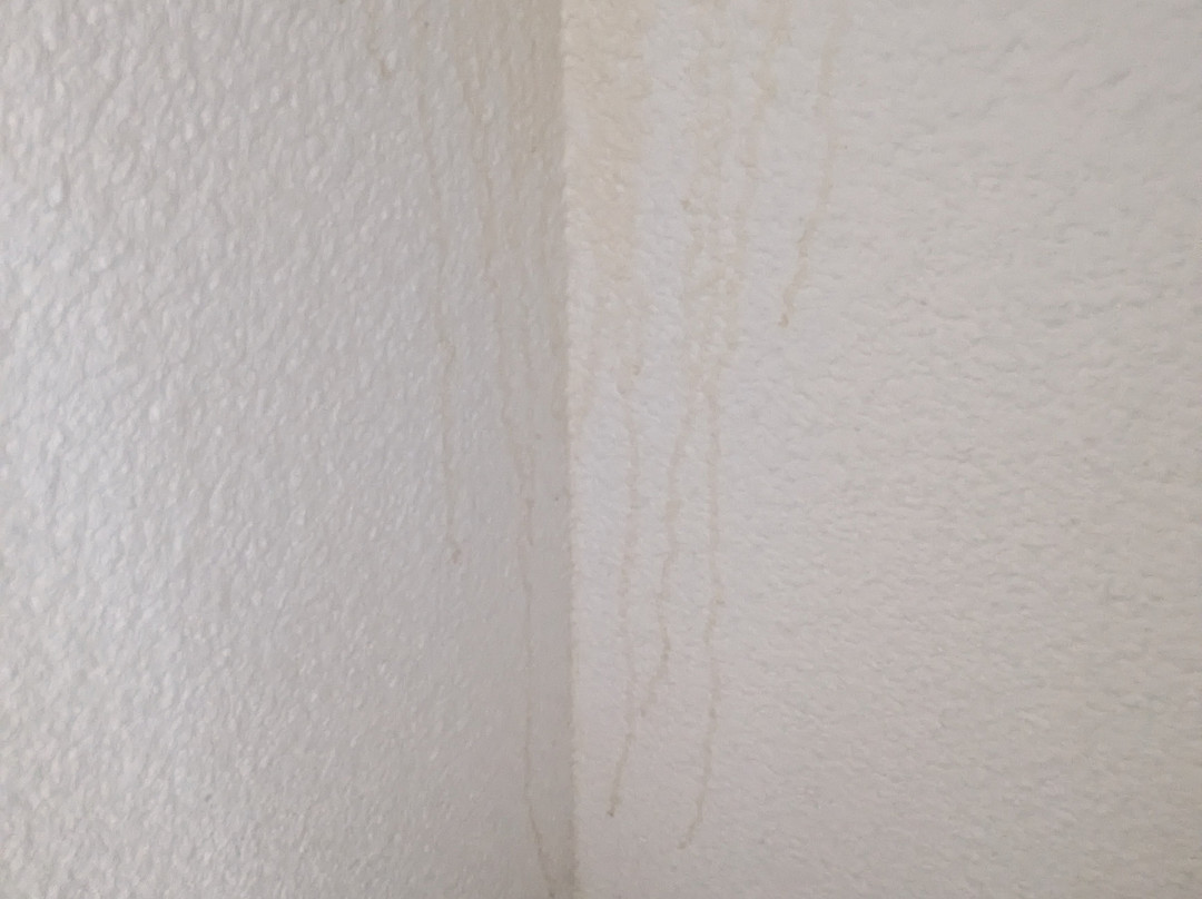 Hotel Come Inn主图