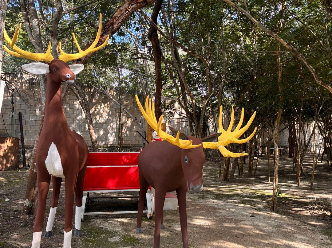 Cenote Zacil-Ha-图伦必去景点