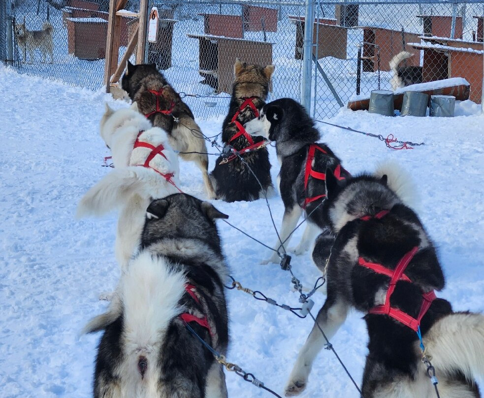 Secrets Nordiques Day Tours-博普雷必去景点