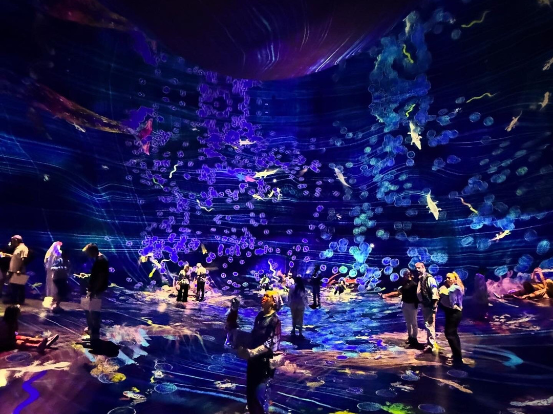 teamLab Phenomena Abu Dhabi-阿布扎比必去景点