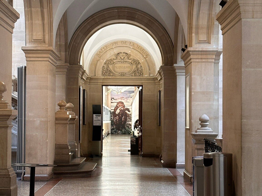 Palais de Rumine-洛桑必去景点