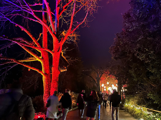 Christmas Garden Insel Mainau-康士坦茨必去景点