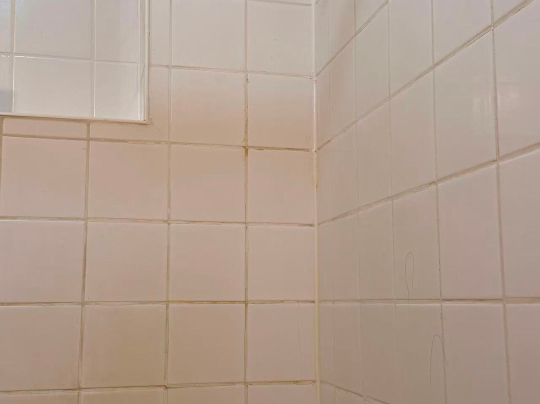 Auberge Alpine Inn主图