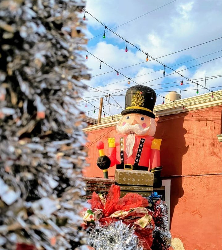 Santuario de las Luciérnagas - Bosque Mágico-Tlaxcala必去景点