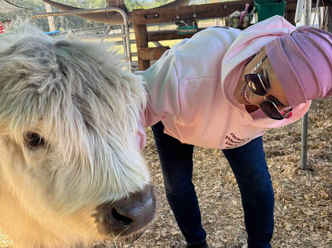 Rooterville Animal Sanctuary-Melrose必去景点