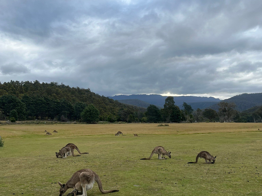 Pepper Bush Adventures - Day Tours-Scottsdale必去景点